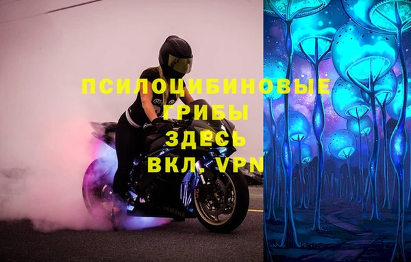 Альфа ПВП Верея