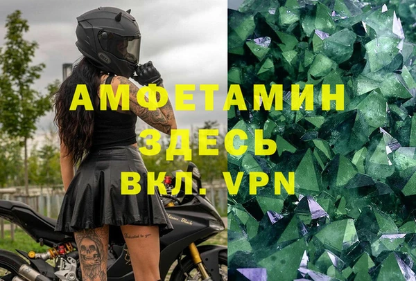 Альфа ПВП Верея
