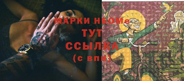 Альфа ПВП Верея