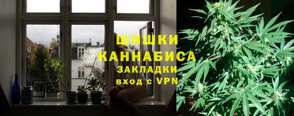 Альфа ПВП Верея