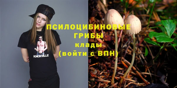 Альфа ПВП Верея
