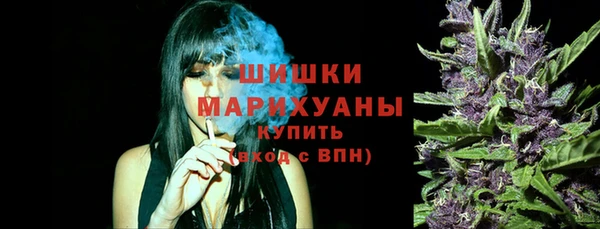 Альфа ПВП Верея