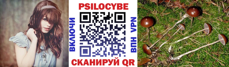 дарнет шоп  Разумное  Галлюциногенные грибы Cubensis 